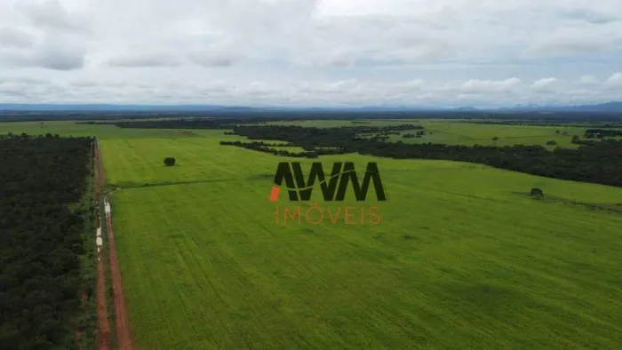 Fazenda à venda, 48400 Hectares por R$ 120.000.000 - Centro - Formosa/GO