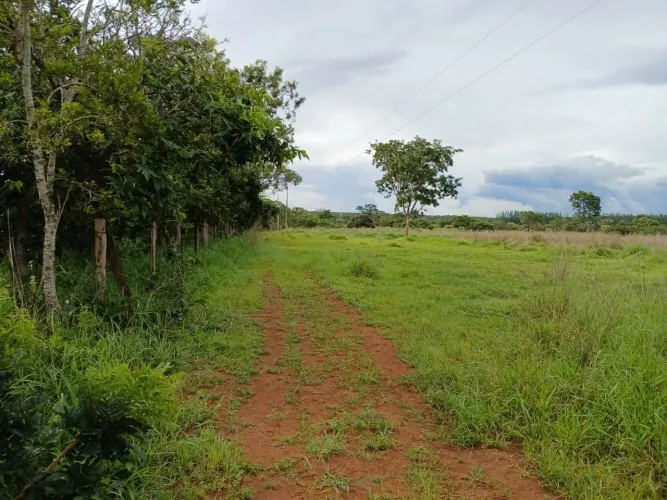 Chácara 10 hectares em Lagoinha (Santos Antonio do Descoberto) px Corumbá