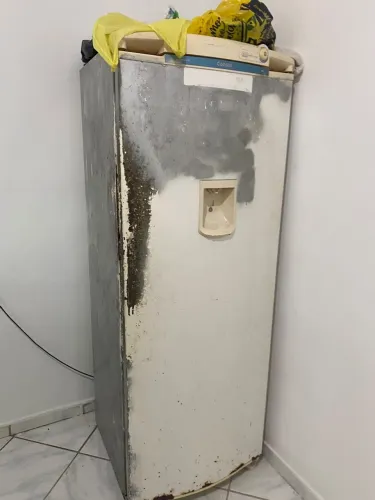 Geladeira funcionando normal 250$