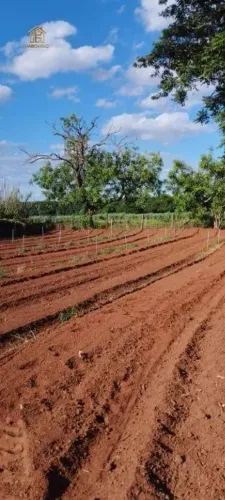 Sítio à venda, 24200 m² por R$ 800.000,00 - Zona Rural - Nova Aliança/SP