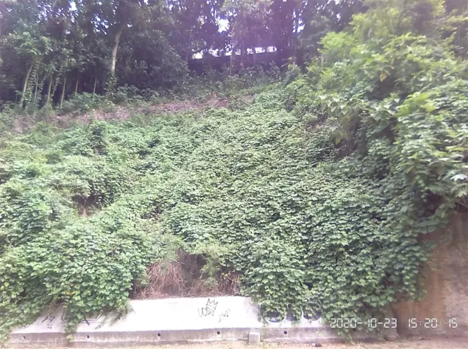 Terreno bem localizado próximo ao Shopping Fashion Mal