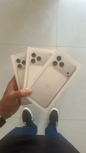 17 Pro Max Silver | LACRADOS