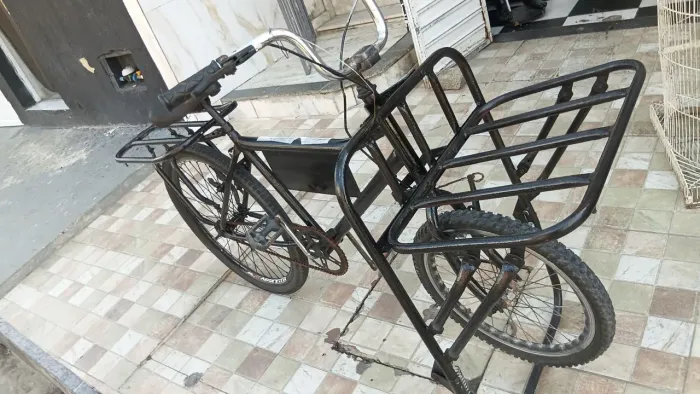 bicicleta cargueira
