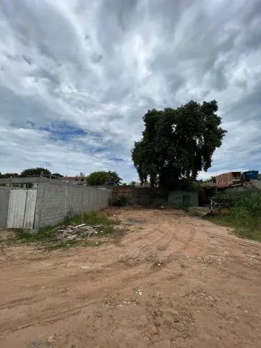 Lote 8x15