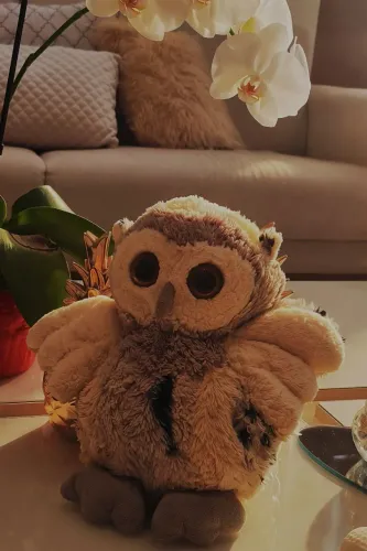 Coruja de Pelúcia Super Macia e Fofinha