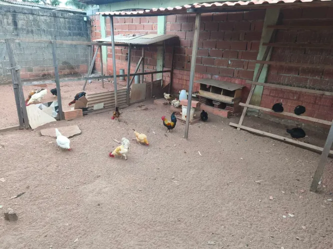 Vendo Garnisé Urgente