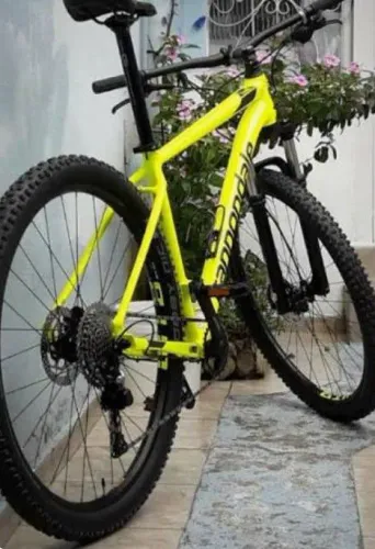 Cannondale trail six 17