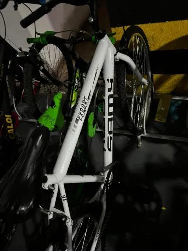 Bicicleta