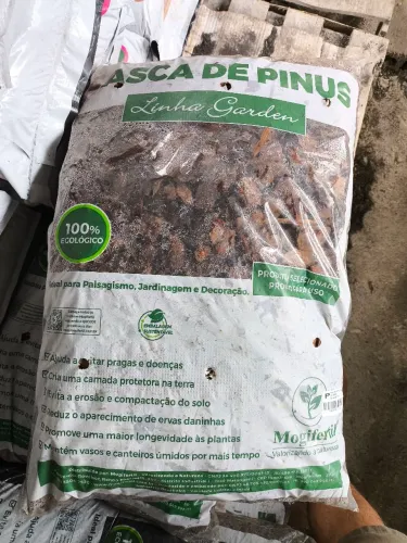 Casaca de pinus 6kg