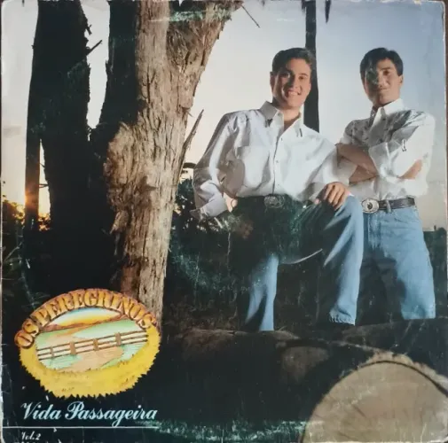 Lp Disco Vinil Gospel Evangélico Os peregrinos - Vida passageira - antigo - relíquia