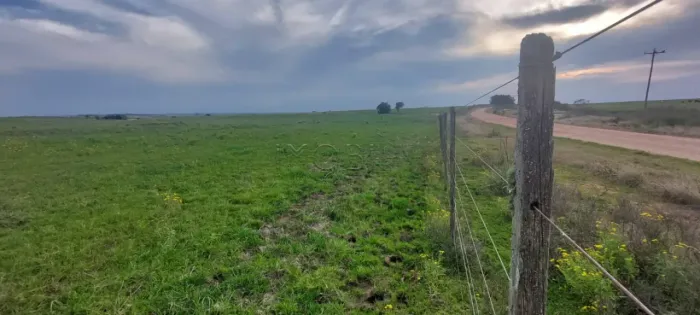 CAMPO À VENDA - LOCALIZADO 10 KM DA CIDADE