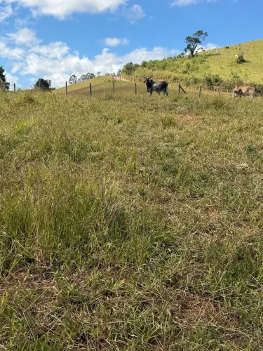 Terreno sítio em Monte Verde mg