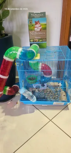 Doa-se hamster e gaiola 