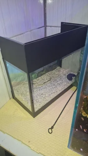 Aquario beteira 30x15x20