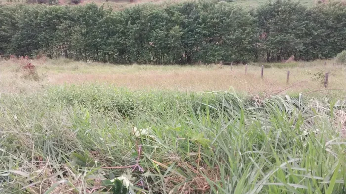 Lotes de 250 m² a 450 m² no Jardim Nova Suica - Piracaia