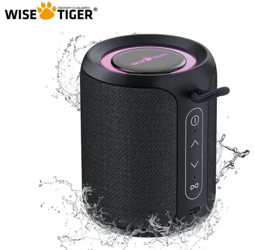 Caixa de Som Bluetooth 15W Wise Tiger P1S