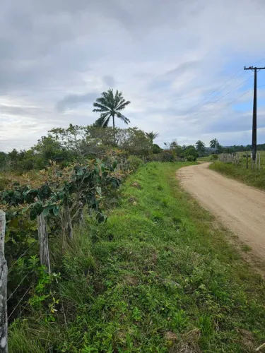 Vendo excelente lote em Nazaré das farinha