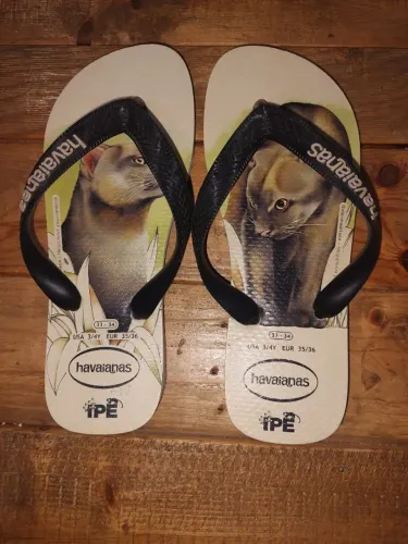 CHINELO HAVAIANAS 33-34 VALOR 35,00