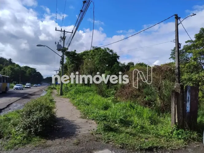 Venda Lote-Área-Terreno Fazenda Coutos Salvador