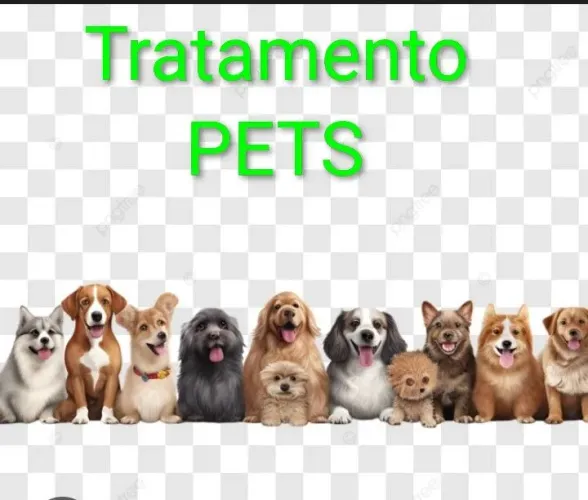 RADIESTESIA PETS