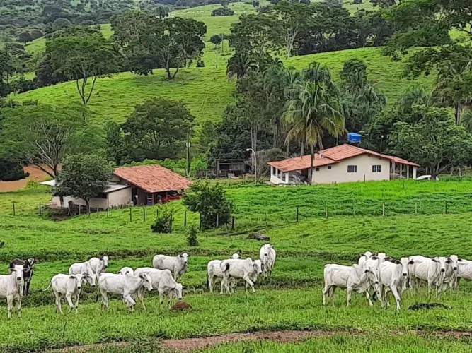 Chácara com 3,58 alqueires em Terezopolis de Goiás