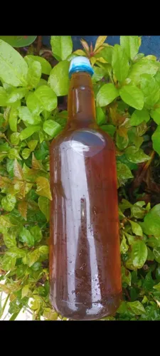MEL AMAZONAS 60 LT