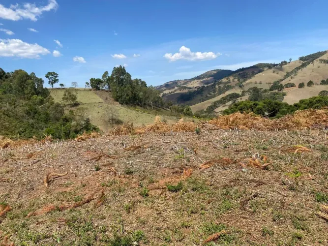 Terreno de 14 hectares na região de Delfim Moreira- Sul de Minas Gerais.