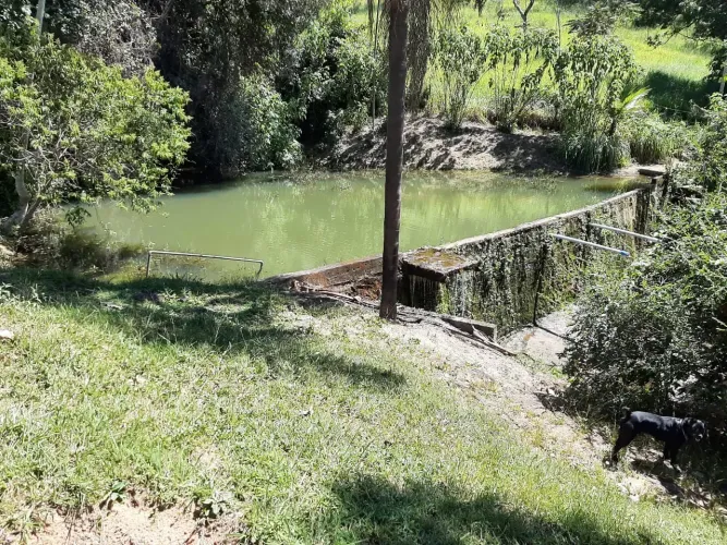 Linda Fazenda de 167 hectares em Cachoeira da Prata, região de Sete Lagoas (FT65)