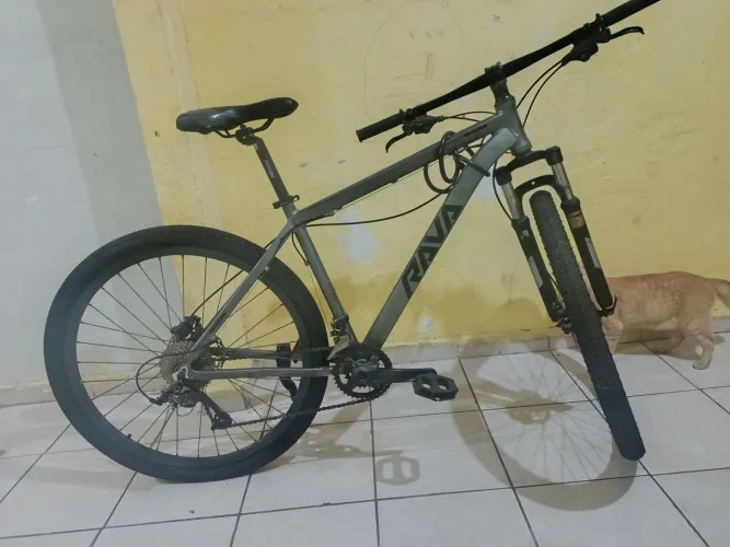 Bicicleta aro 29