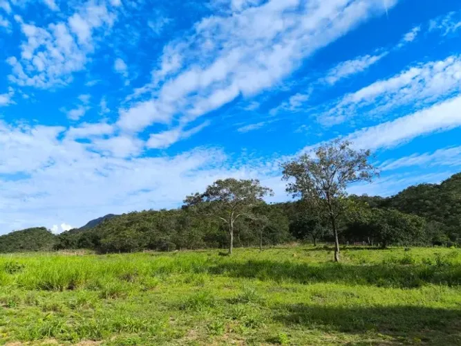 FAZENDA EM NIQUELÂNDIA