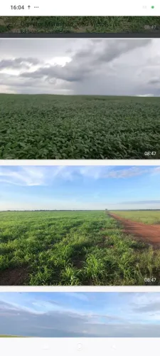 Fazenda 100% com divida no TO. 1.741hec RS:45 milhões