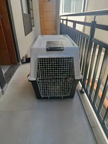 CAIXA DE TRANSPORTE PARA PET, CACHORRO.