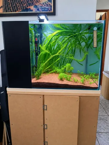 Aquario 216L Completo