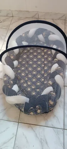 Ninho bebê com mosquiteiro