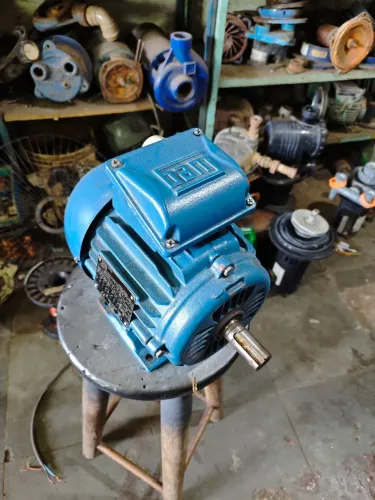 Motor Weg 2cv. Baixa rotação