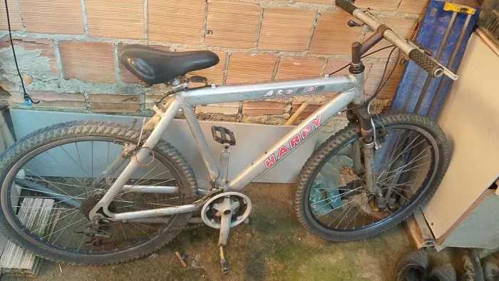 Bicicleta