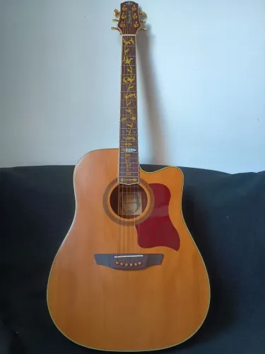 Violão stremberg SD 20-C personalizado tarrachas douradas GUYKER, rastilho osso. Com capa