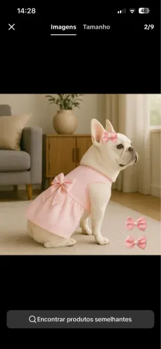 Roupa de pet 