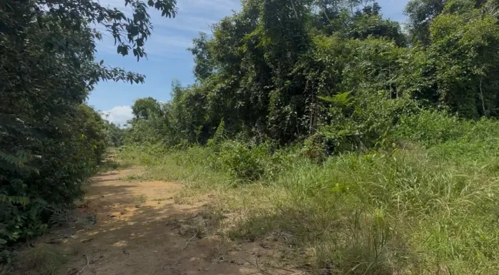Terreno km19 Iranduba
