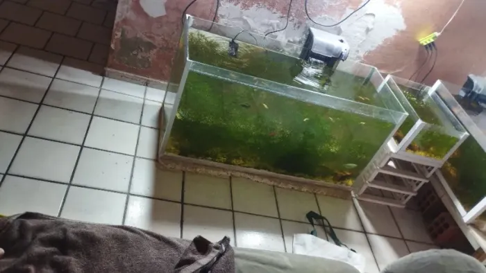 Aquário venda e troca