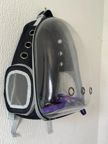 Mochila pet