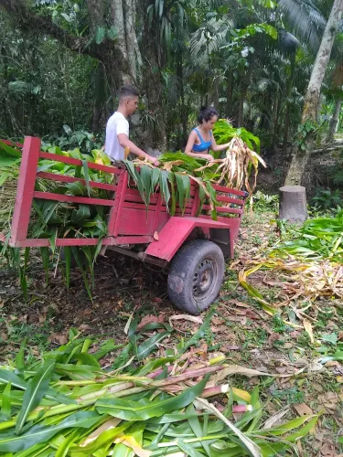 NEGOCIO OU TROCO POR CARRO
