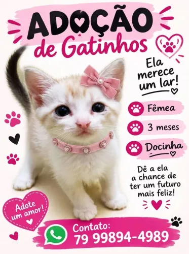 SÓ FOFURAS