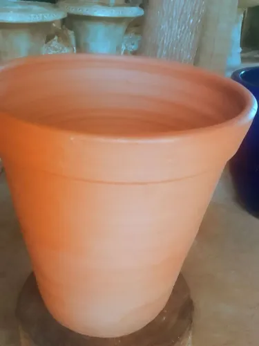 Vasos