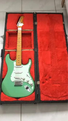 Tagima TG530 Custom