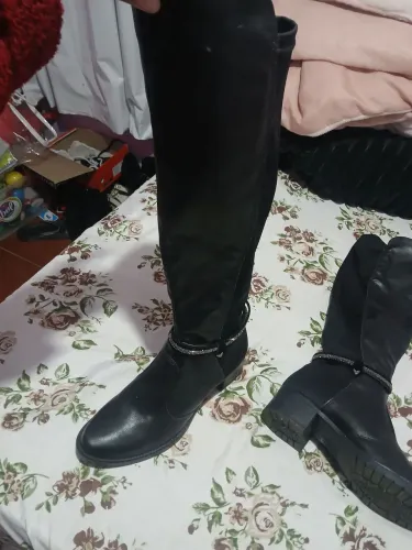 Bota