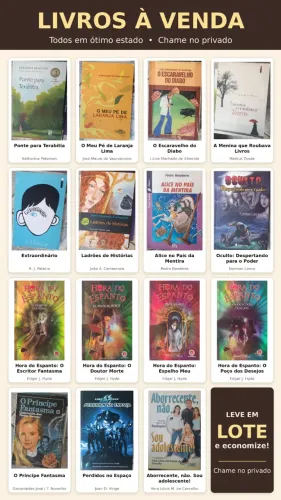 Lote 15 Livros Juvenis