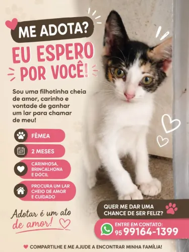 Doação de filhote