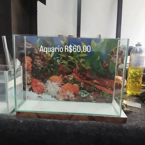 Aquário 