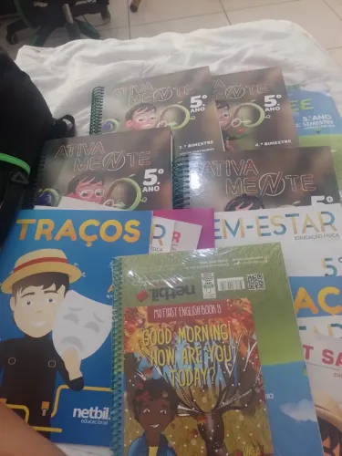 Livro 5 ano, coleção Netbil completo